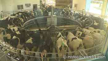 Bomaz Farms uses the latest technology to make milk for Wisconsin cheese