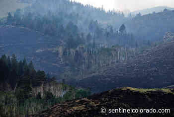 Cheatgrass spraying begins in Wyoming-Colorado wildfire area - Sentinel Colorado