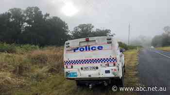 Two men killed in 'tragic' light plane crash on Sunshine Coast hinterland