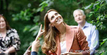 Duchess of Cambridge visits the Museum's Wildlife Garden - The Natural History Museum