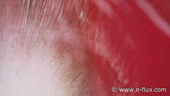 Siren Songs - Architecture - E-Flux