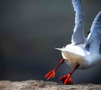 JPMorgan's ex-Goldman head of architecture left after 18 months - eFinancialCareers