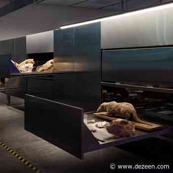 Israel puts skeletons on display at Venice Architecture Biennale - Dezeen