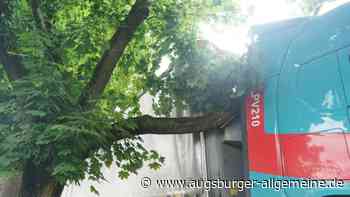 Lastwagen bleibt bei Ecknach an Ast hängen: Ursache ist nun bekannt - Augsburger Allgemeine