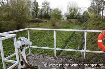 Neuer Vorfluter für rund 2,6 Millionen Euro - Mannheimer Morgen