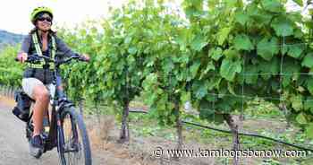 E-bikes, wine and beer in Osoyoos - KamloopsBCNow