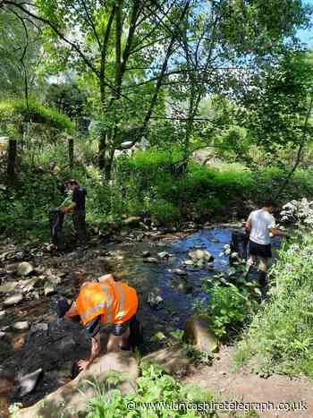 Volunteers clear Tinker Brook in Oswaldtwistle during spring clean