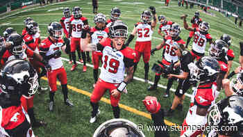 2021 Team Preview: Calgary Stampeders - stampeders.com