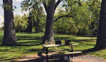 Calgary parks funding gets $500K boost - to start - LiveWire Calgary