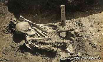 Japanese man was killed by a tiger or white shark 3,000 years