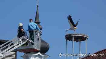 Sie leben! - Süddeutsche Zeitung
