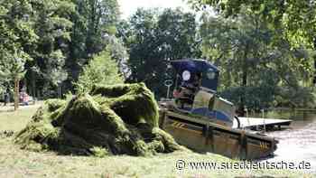 Mähen unter Wasser - Süddeutsche Zeitung