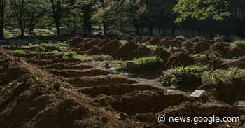 Brazil Passes 500,000 Covid Deaths, a Tragedy With No Sign of Letup - The New York Times