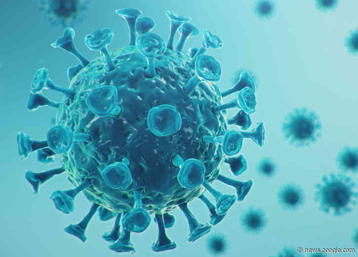 Unvaccinated Florida Port Staff Get COVID After Deadly Outbreak in Building - Newsweek