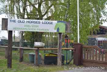 Rommelmarkt bij Old Horses Lodge