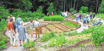 Steinen: „Ein Ort der Heilung und Heilkraft“ - Verlagshaus Jaumann - www.verlagshaus-jaumann.de