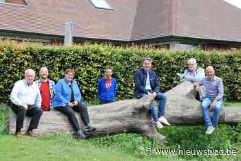 Pittem Zomert met schattenjacht, skatepark en bibliotheek in openlucht