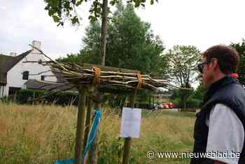 Licht en Troost toont kunst in openlucht