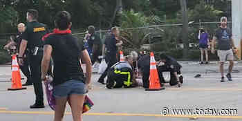 Driver apologizes after deadly Pride parade crash in Florida