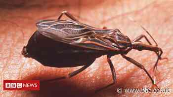 DeepMind uses AI to tackle neglected deadly diseases