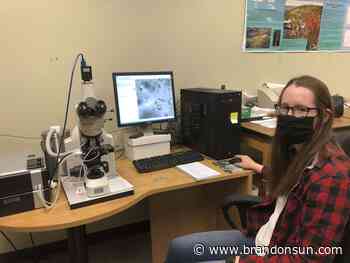 BU geology lab gets massive upgrade - Brandon Sun