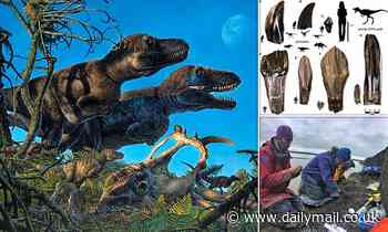 Fossils: Dinosaur 'maternity ward' with remains of seven different species unearthed in the ARCTIC