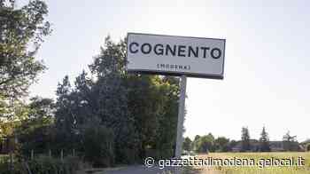 Modena. Un bimbo esce da solo, il padre a processo - La Gazzetta di Modena