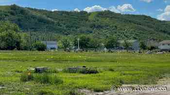 Cowessess First Nation says 751 unmarked graves found near former residential school