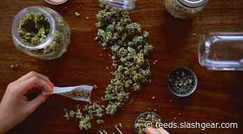 Cannabis and suicide issues linked in young users, but a big question remains