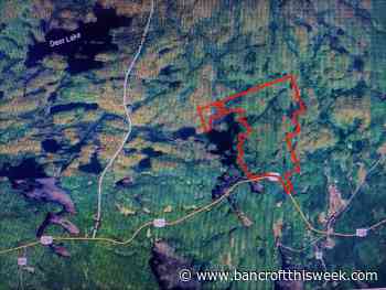 MNRF seeks public input regarding proposed Centre Lake development - Bancroft This Week