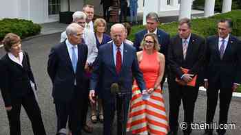 Biden announces bipartisan deal on infrastructure