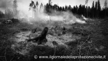 Webinar Ispra sui nuovi strumenti per la tutela dell'ambiente - Giornale della Protezione civile