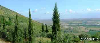 Beni culturali, Ispra: Serve attento monitoraggio su impatto cambiamenti climatici - AgCult