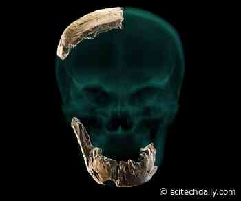 Archaeologists Make Dramatic Discovery: A Prehistoric Human Type Previously Unknown to Science