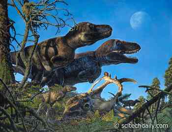 Were Dinosaurs Warm-Blooded? Research Team Discovers Arctic Dinosaur Nursery