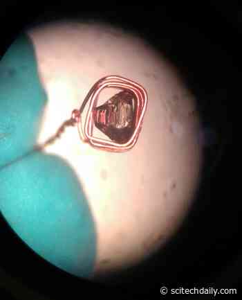 Exotic Superconductors: The Secret That Was Never There
