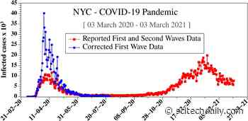 Data Inaccuracies Corrected: First Wave COVID-19 Data Underestimated Pandemic Infections