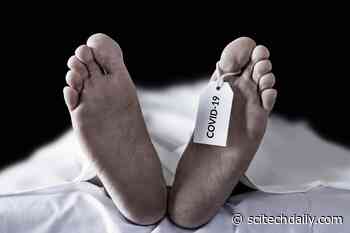 COVID-19 Pandemic Drives “Massive” Decrease in US Life Expectancy – Largest Decrease Since World War II