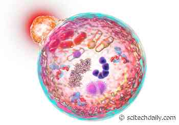 Researchers Identify People That Are Missing a Critical Cell Process – Unique Insight Into Human Physiology