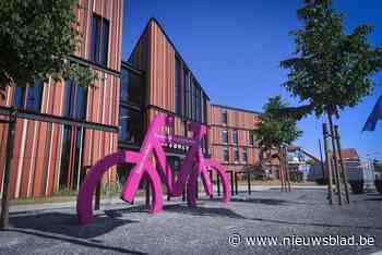 Lillenaren mogen licht laten schijnen over beleidsvisie wonen