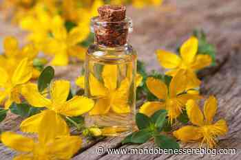 L'iperico, conosciuta anche come erba di San Giovanni, pianta benefica - MondoBenessereBlog