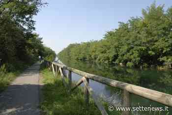 Al via lo sfalcio dell'erba all'alzaia tra Parabiago e Nerviano - Settenews