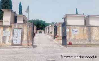 Cimitero nel degrado: erba alta, nessuna scala e niente luci. Familiari indignati - ciociariaoggi.it