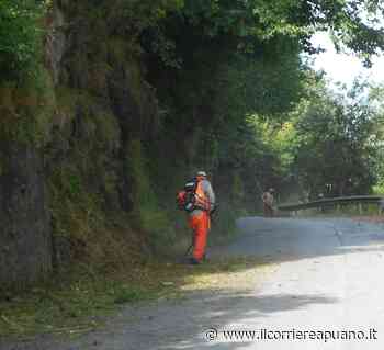 Strade Provinciali non solo frane ma anche l'erba alta - Il Corriere Apuano