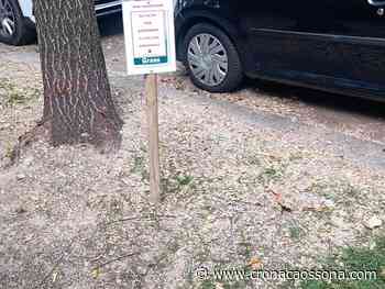 erba - - A Milano calpestare l'erba è questione di dignità (dell'erba) - CO Notizie - News ZOOM