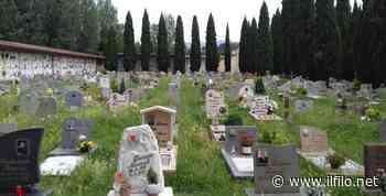 Cimitero comunale a Borgo, l'erba alta tra le tombe. E l'assessore si scusa - Il Filo del Mugello