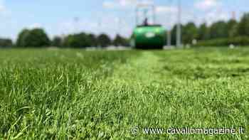 Luca Frassi: perché l'erba del San Siro è sempre più verde - CavalloMagazine