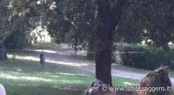 Villa Lante, l'erba alta non risparmia neanche lo storico giardino: «E' tutto transennato» - ilmessaggero.it