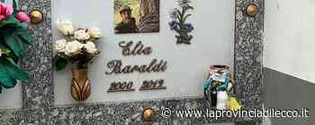 Erba, tomba danneggiata e ricordi rubati «Ridatemi i messaggi lasciati a Elia» - La Provincia di Lecco