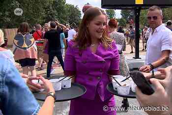 Gevolgen van annulatie Tomorrowland: “Orderboek is leeg in augustus”